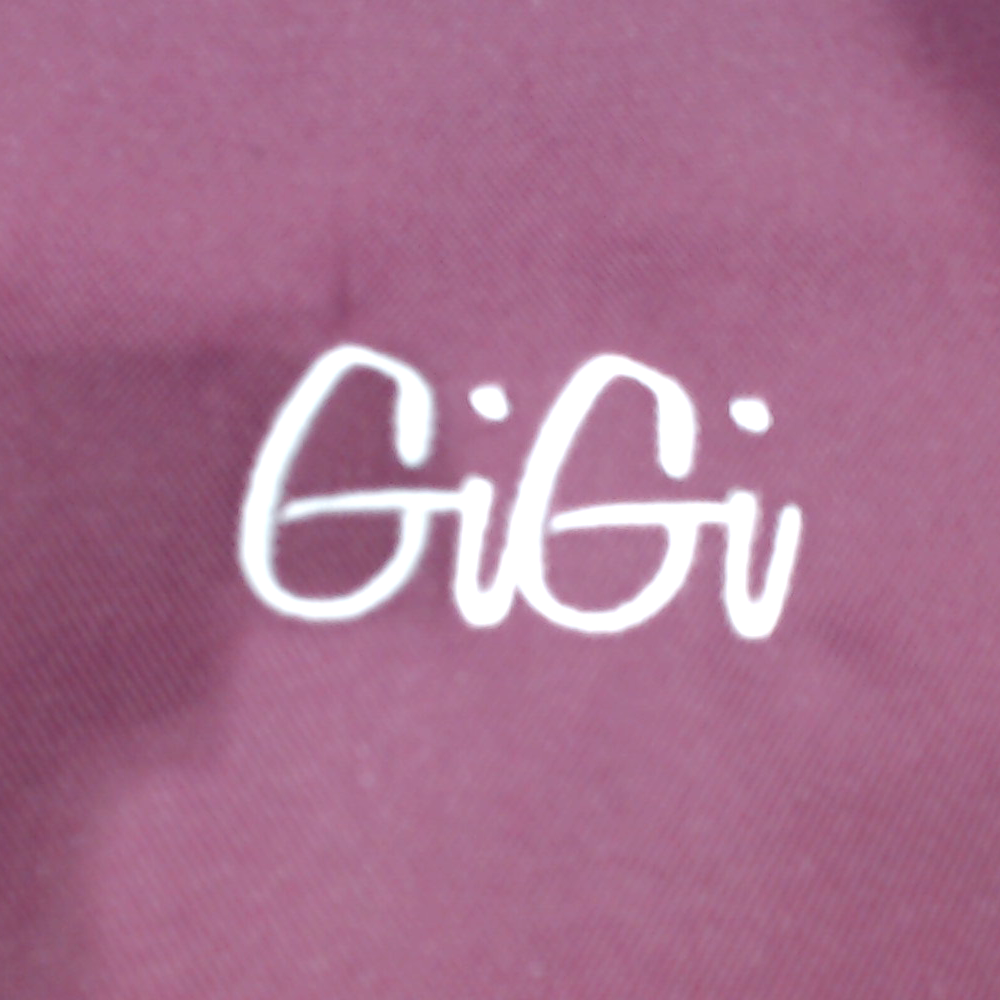 BLOOPER BAG: Monogrammed Weekend Bag