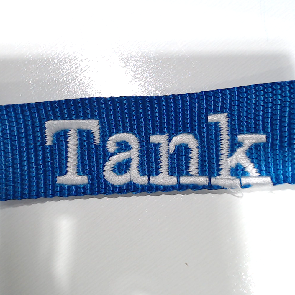 BLOOPER ACCESSORY: Personalized Dog Leash