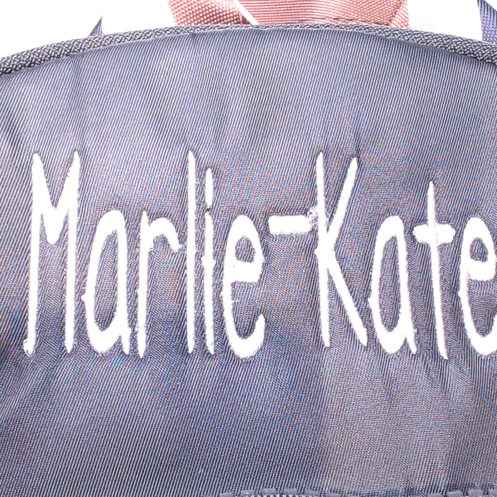 BLOOPER BAG: Monogrammed Mini Backpack Purse