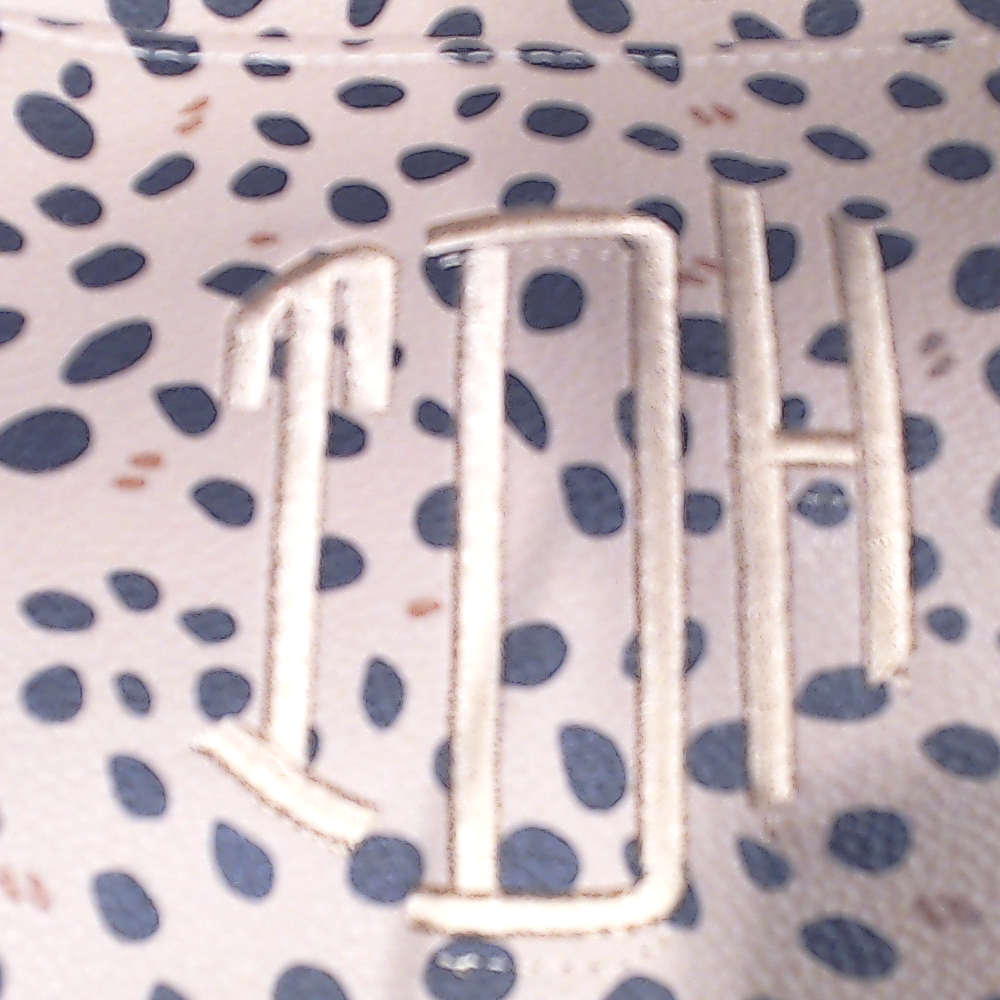 BLOOPER BAG: Monogrammed Classic Crossbody