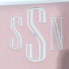BLOOPER BAG: Monogrammed Travel Jewelry Organizer