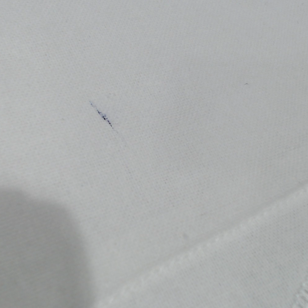 BLOOPER ACCESSORY: Monogrammed Scalloped Pillow Sham