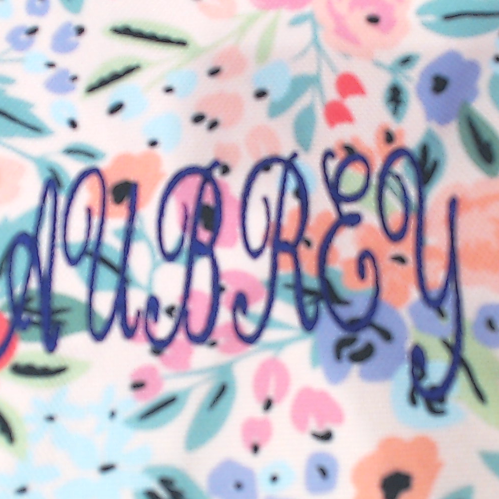 BLOOPER BAG: Monogrammed Weekend Bag
