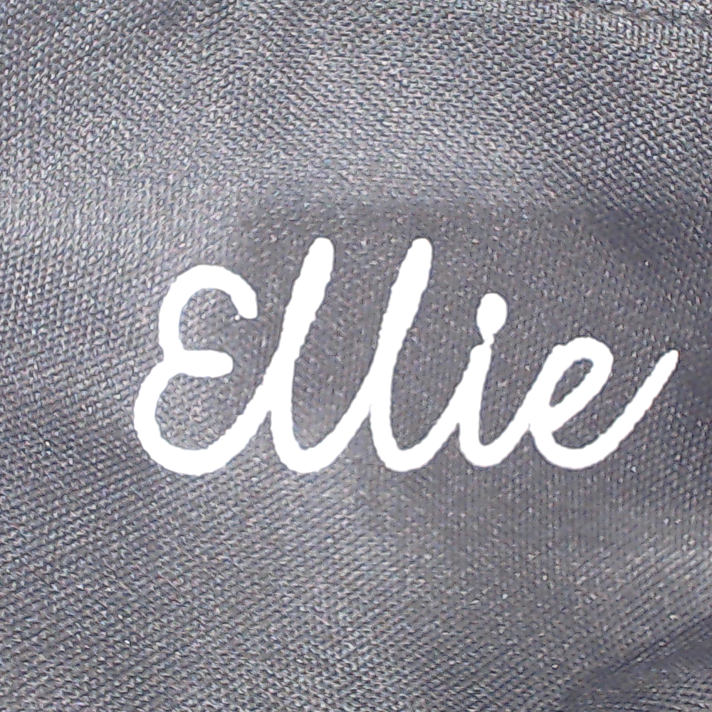 BLOOPER BAG: Monogrammed Makeup Bag
