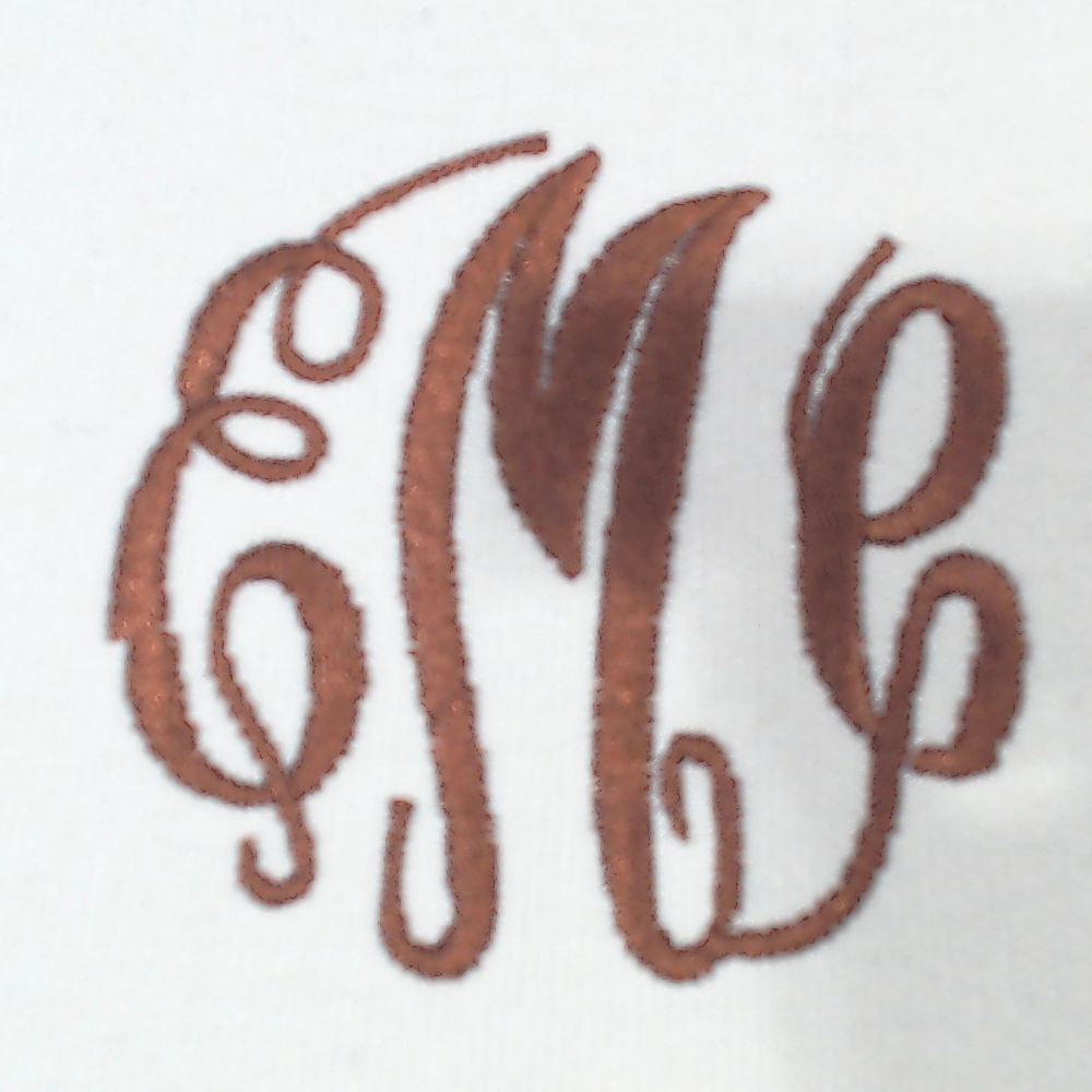 BLOOPER BAG: Monogrammed Trunk Organizer