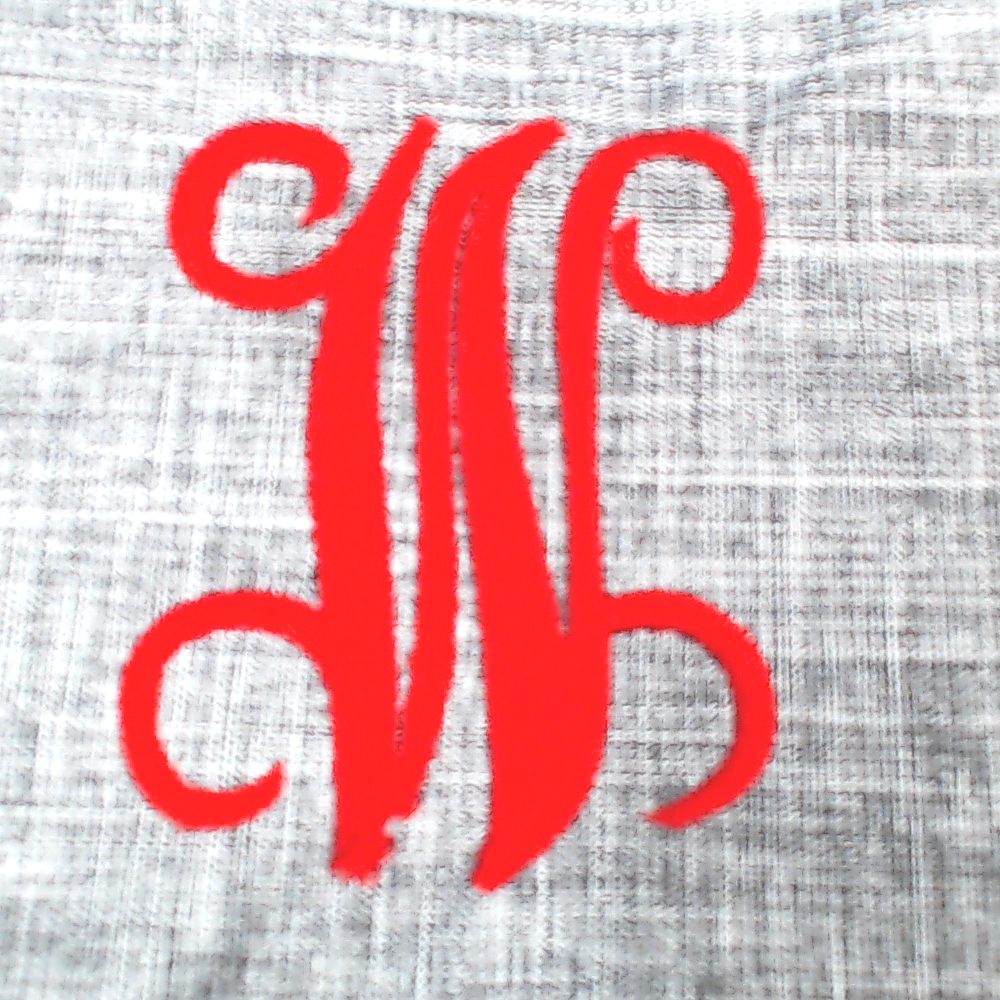 BLOOPER BAG: Monogrammed Trunk Organizer