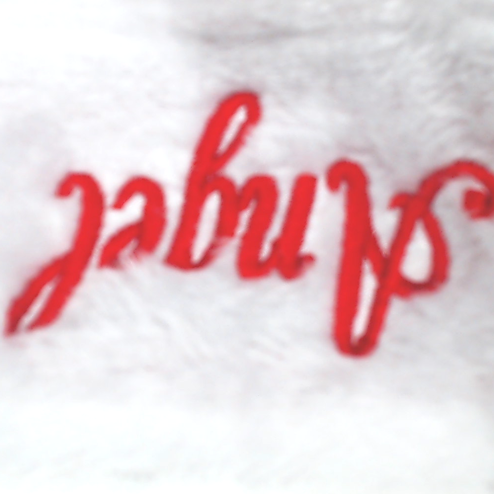 BLOOPER ACCESSORY: Personalized Santa Hat
