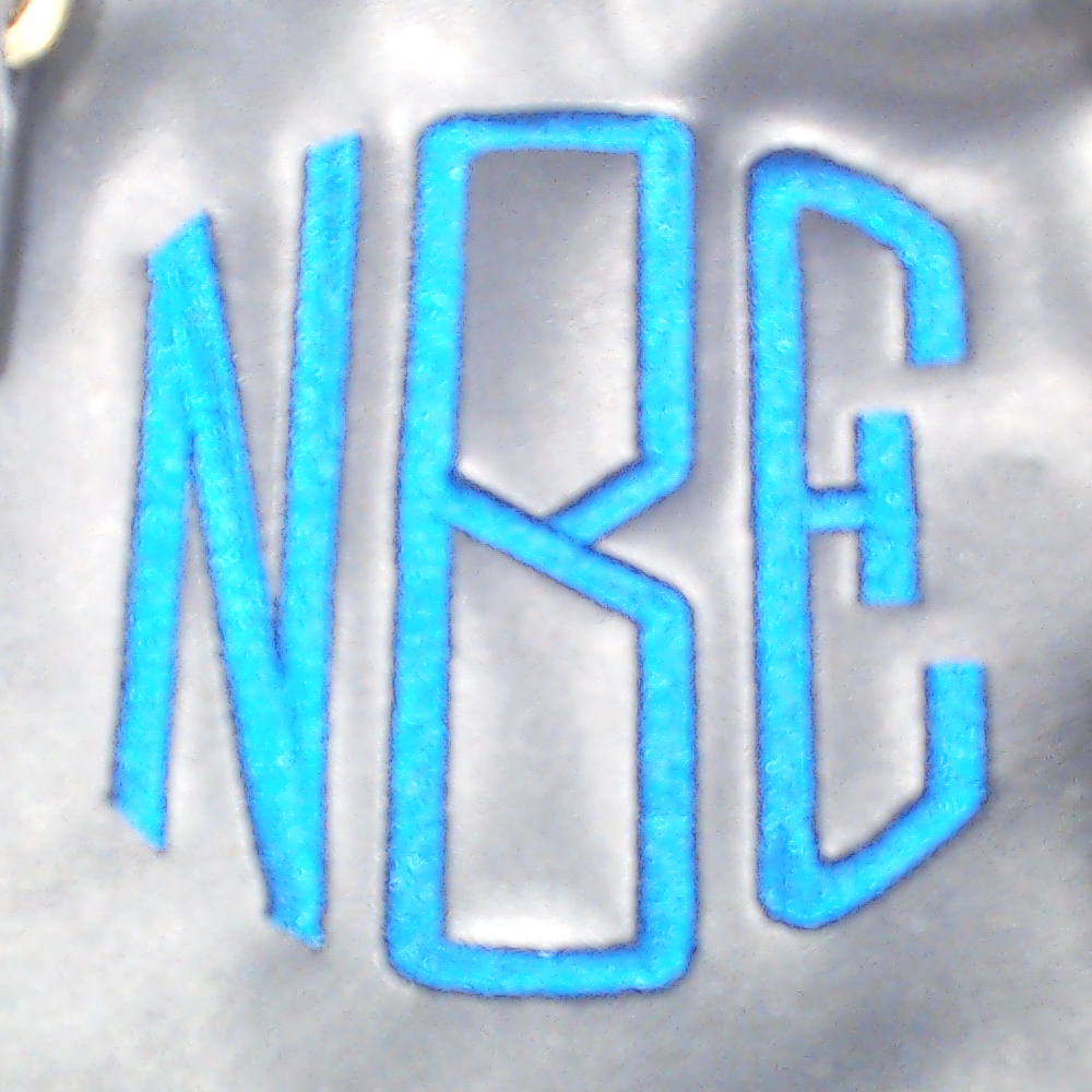 BLOOPER BAG: Monogrammed Harper Handbag