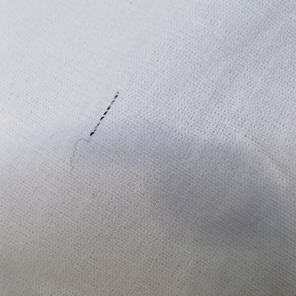 BLOOPER ACCESSORY: Monogrammed Pillow Sham