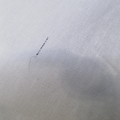 BLOOPER ACCESSORY: Monogrammed Pillow Sham