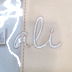 BLOOPER BAG: Monogrammed Clear Stadium Crossbody Bag