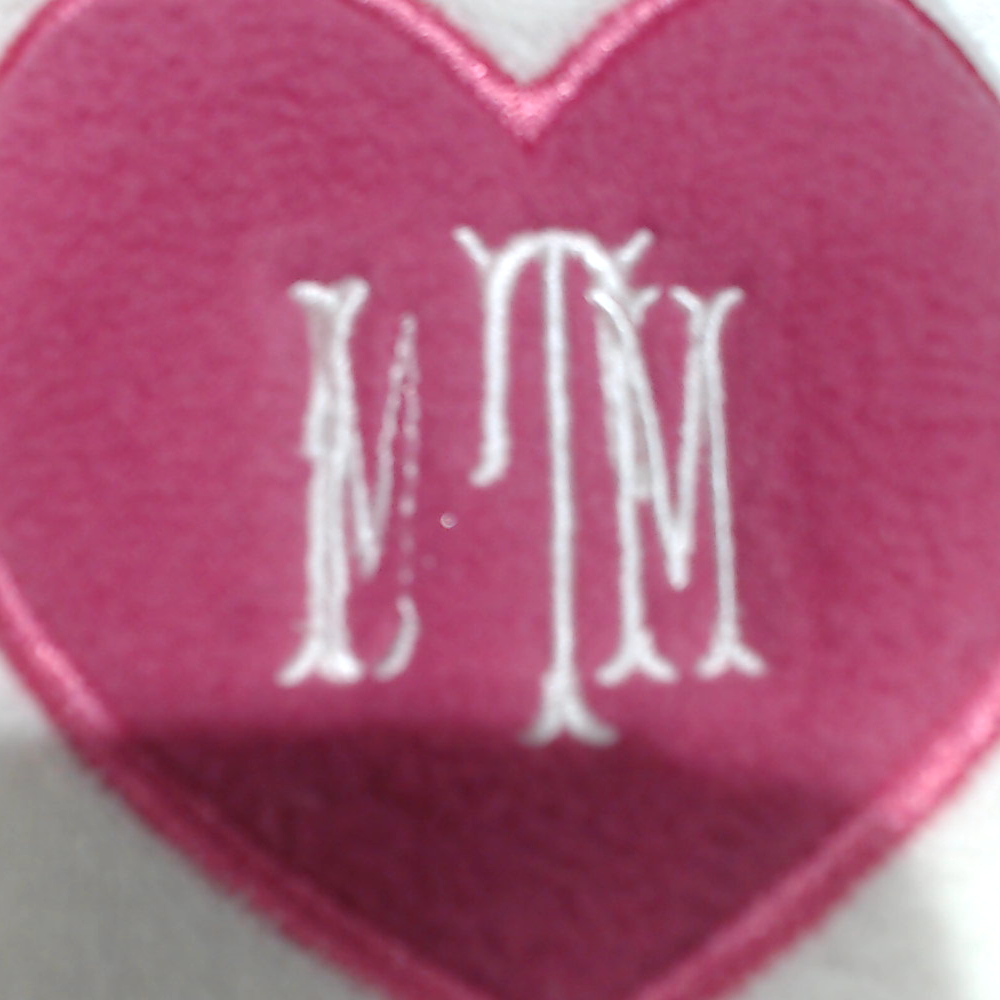 BLOOPER SHOES: Monogrammed Slippers