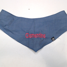 BLOOPER ACCESSORY: Personalized Dog Bandana