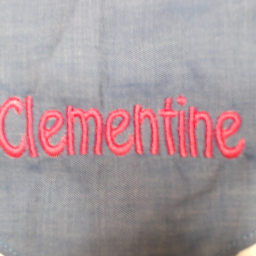 BLOOPER ACCESSORY: Personalized Dog Bandana