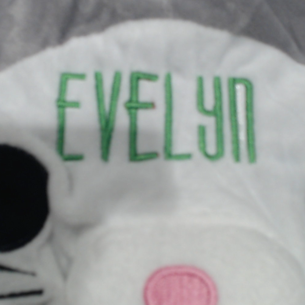 BLOOPER KIDS: Monogrammed Kids Hooded Travel Neck Pillow