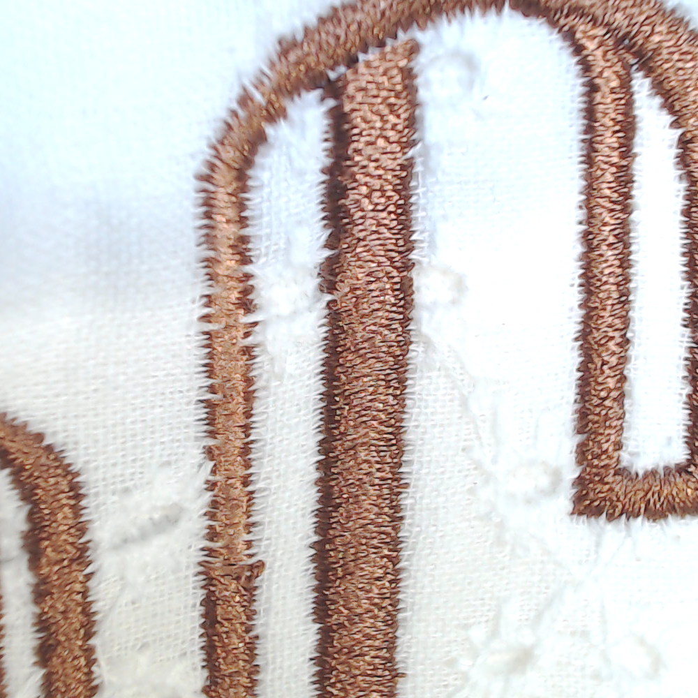 BLOOPER BAG: Monogrammed Hobo Bag