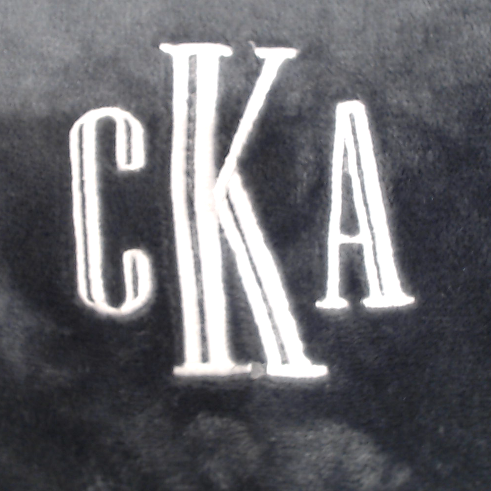 BLOOPER ACCESSORY: Monogrammed Travel Blanket Pillow