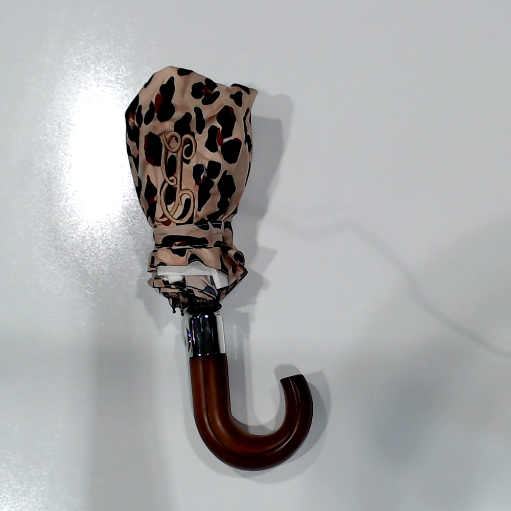 BLOOPER ACCESSORY: Monogrammed Umbrella