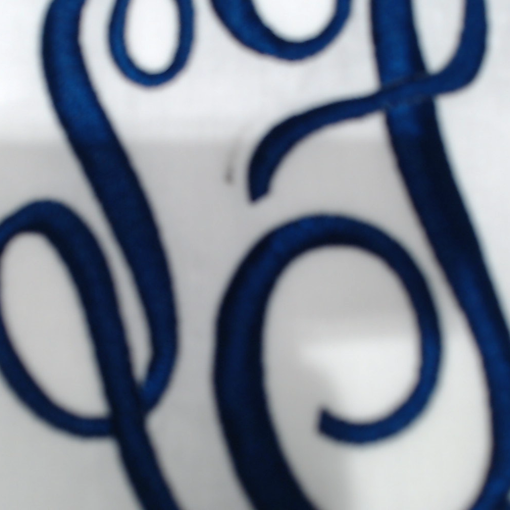 BLOOPER ACCESSORY: Monogrammed Pillow Sham