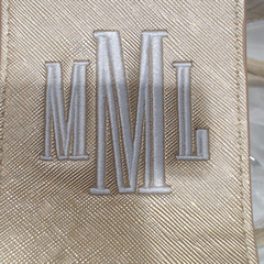 BLOOPER ACCESSORY: Monogrammed Clear Train Case