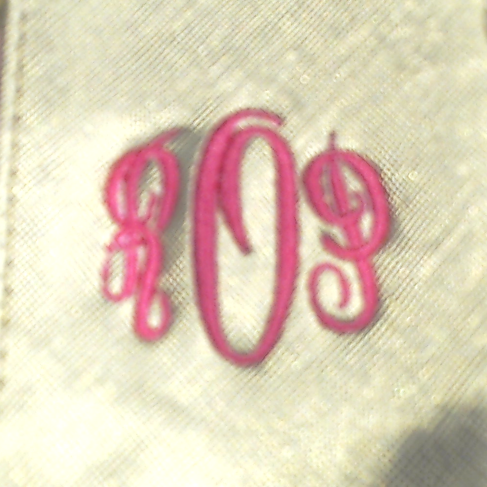 BLOOPER BAG: Monogrammed Clear Ditty Bag