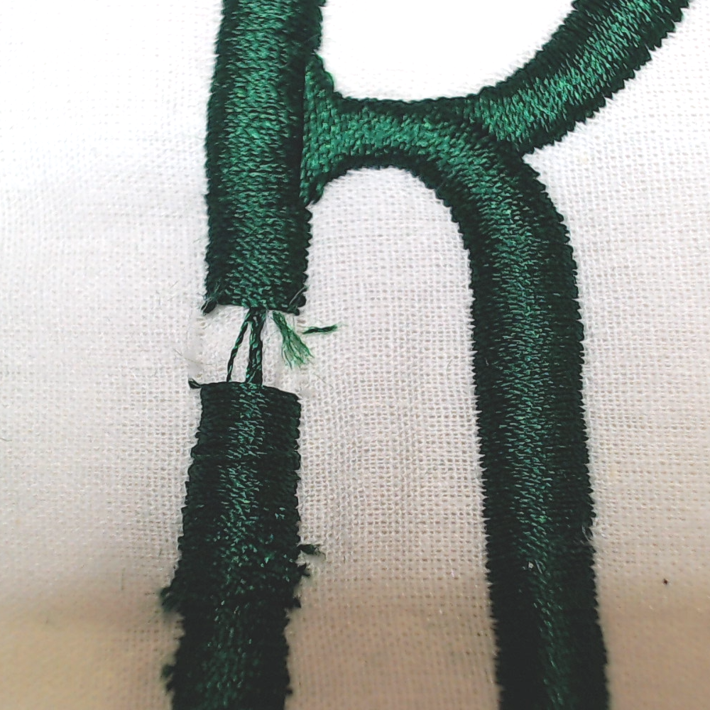 BLOOPER ACCESSORY: Monogrammed Pillow Sham