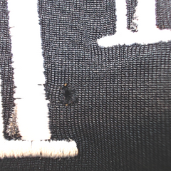 BLOOPER CLOTHING: Monogrammed Quarter Zip Dress