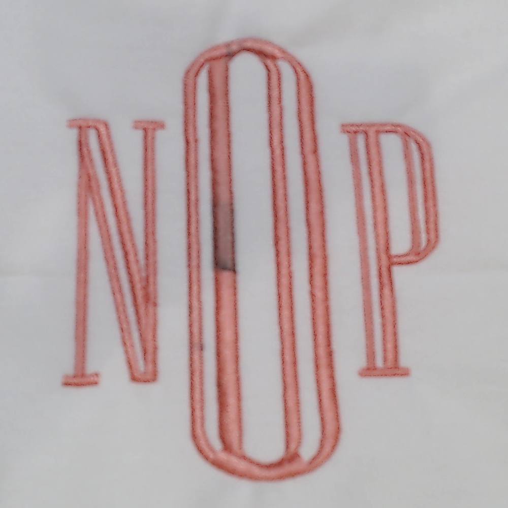 BLOOPER ACCESSORY: Monogrammed Pillow Sham