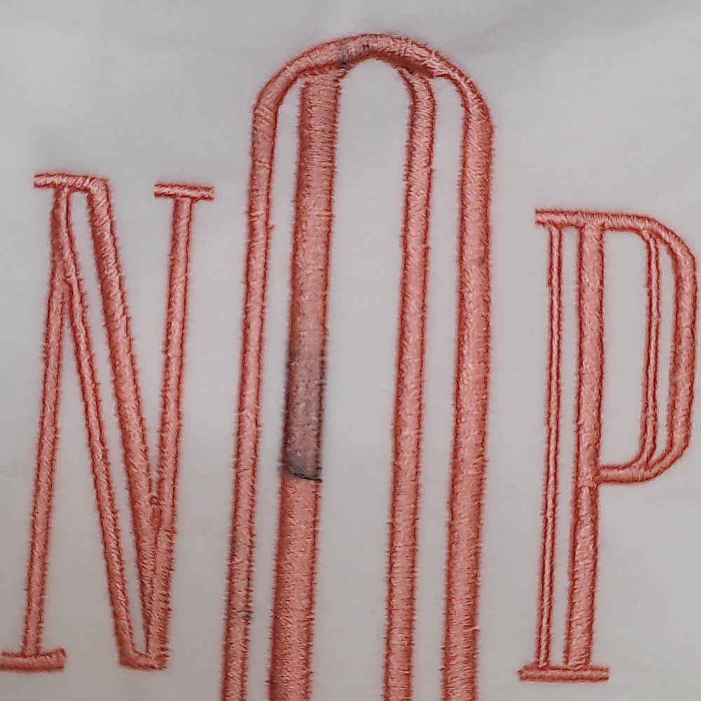 BLOOPER ACCESSORY: Monogrammed Pillow Sham