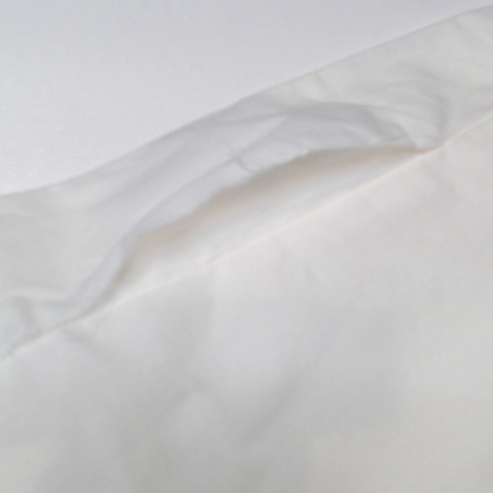 BLOOPER ACCESSORY: Monogrammed Pillow Sham