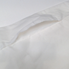 BLOOPER ACCESSORY: Monogrammed Pillow Sham
