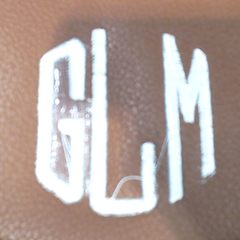 BLOOPER BAG: Monogrammed Phone Crossbody