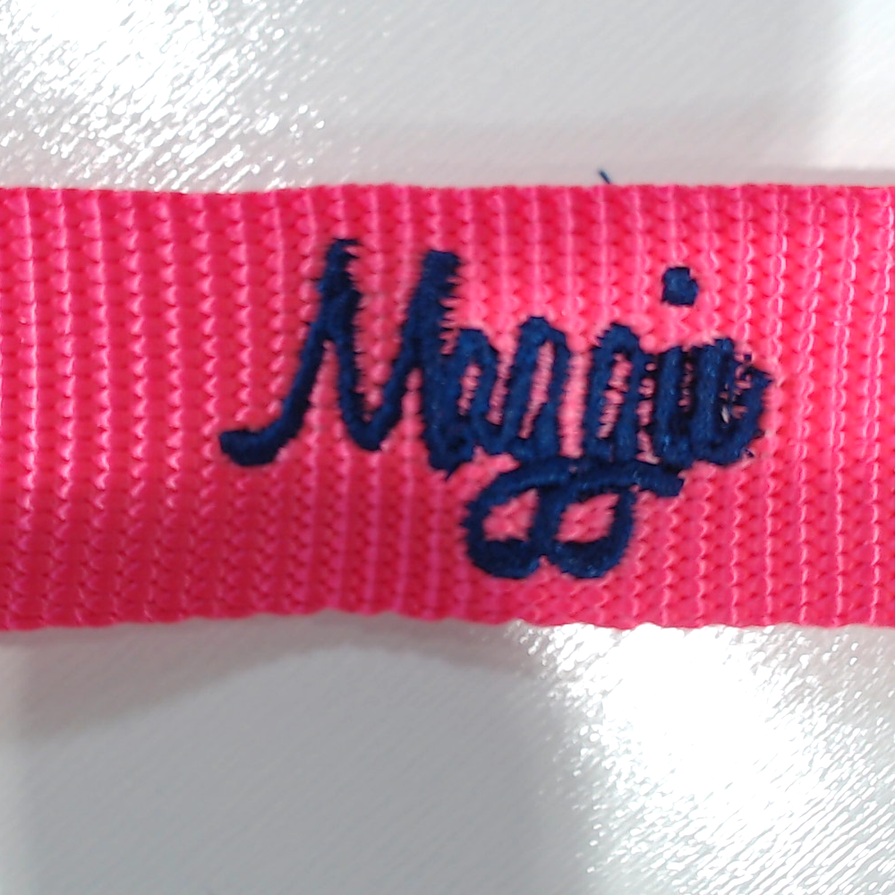 BLOOPER ACCESSORY: Personalized Dog Leash