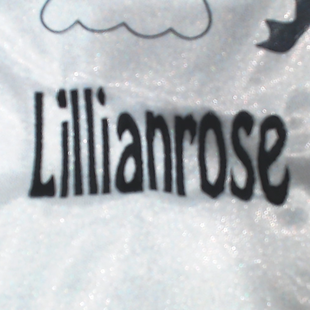 BLOOPER BAG: Monogrammed Halloween Bag
