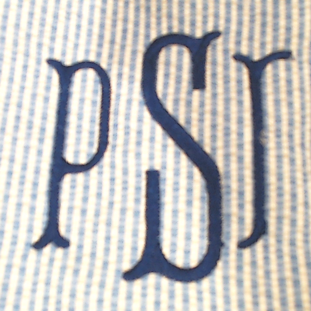 BLOOPER BAG: Monogrammed Seersucker Tote Bag