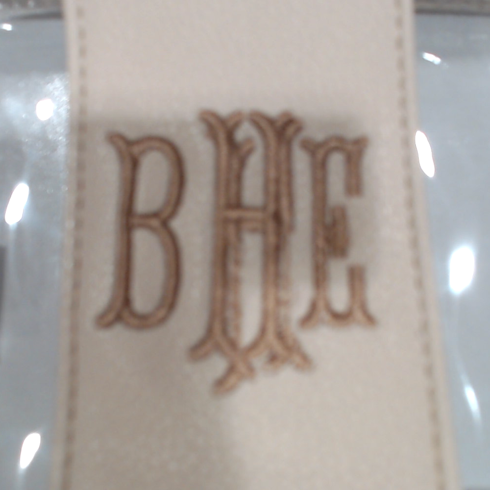 BLOOPER BAG: Monogrammed Clear Stadium Crossbody Bag