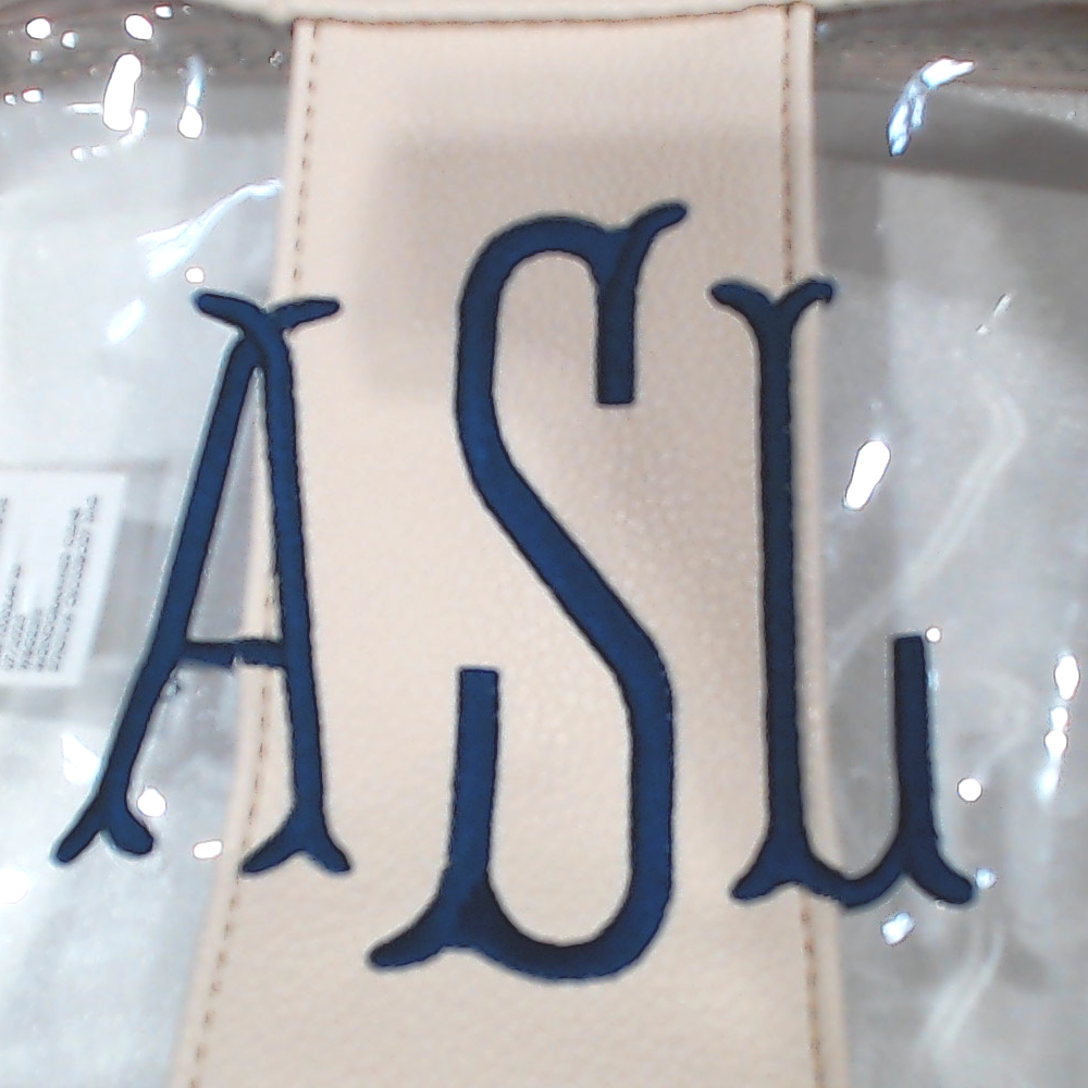 BLOOPER BAG: Monogrammed Clear Stadium Crossbody Bag