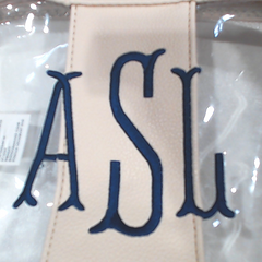BLOOPER BAG: Monogrammed Clear Stadium Crossbody Bag