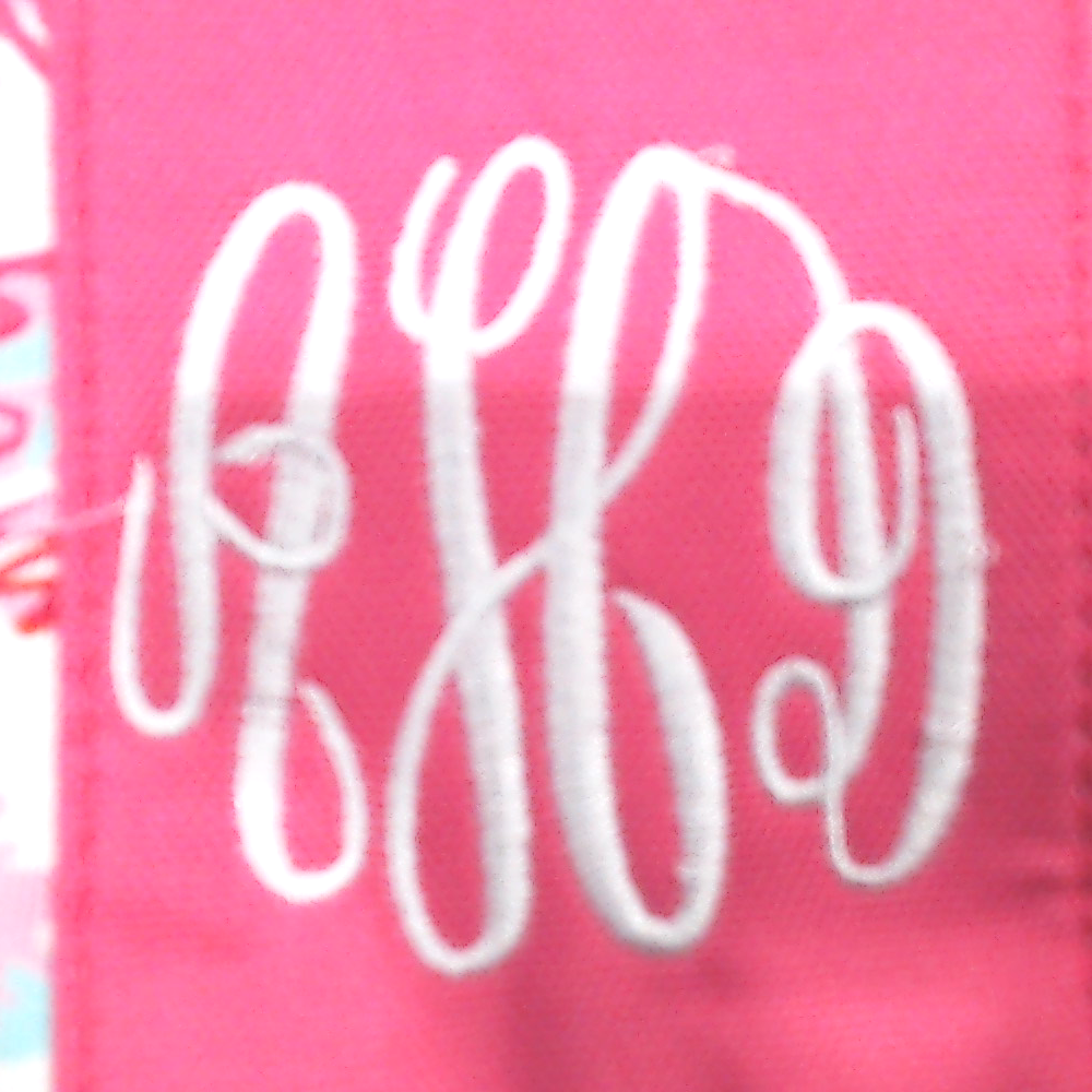 BLOOPER BAG: Monogrammed Train Case