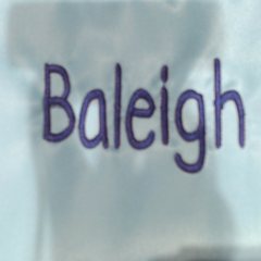 BLOOPER KIDS: Personalized Lunch Box