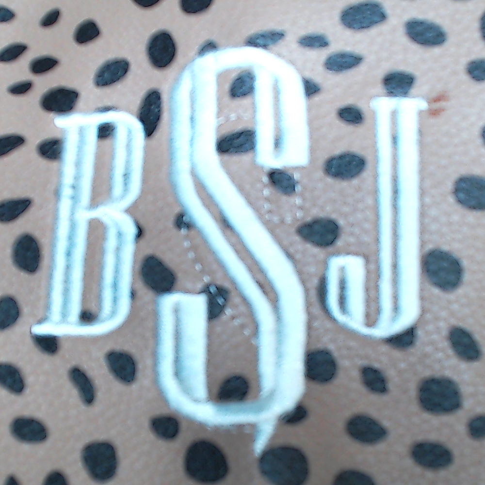 BLOOPER BAG: Monogrammed Classic Crossbody