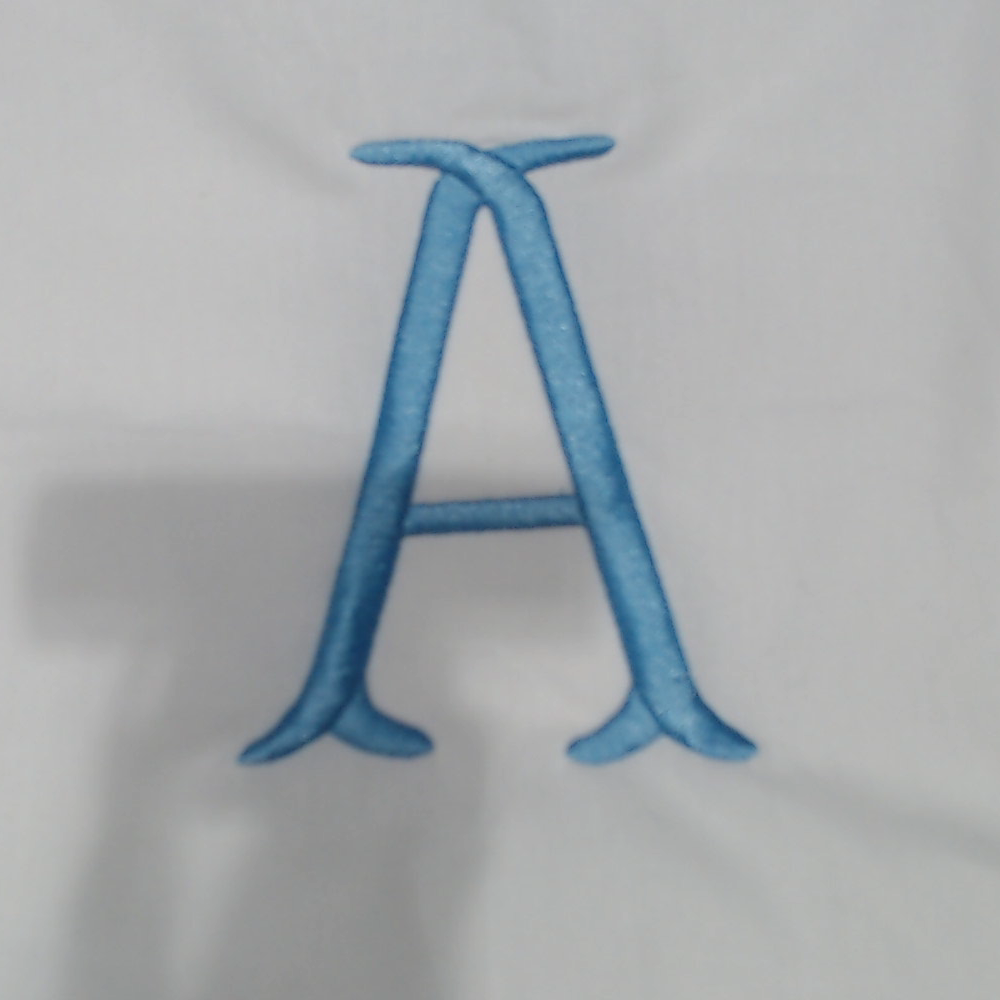 BLOOPER ACCESSORY: Monogrammed Pillow Sham