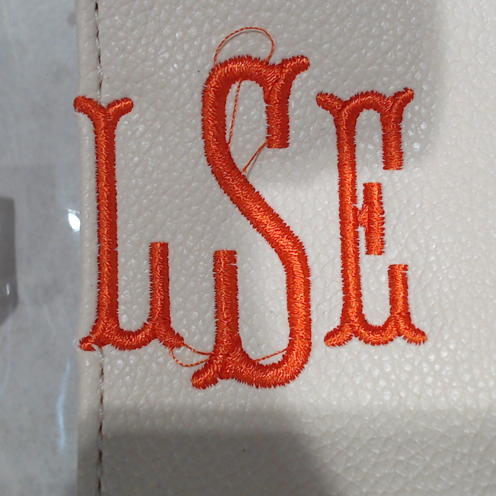 BLOOPER BAG: Monogrammed Clear Stadium Crossbody Bag