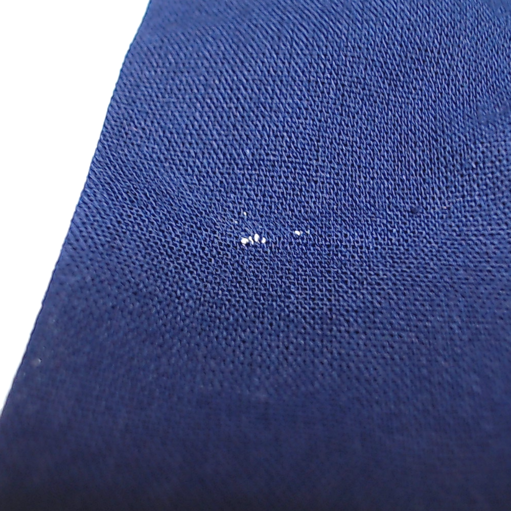 BLOOPER ACCESSORY: Monogrammed Pillow Sham
