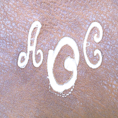 BLOOPER KIDS: Monogrammed Kids Saddlebag