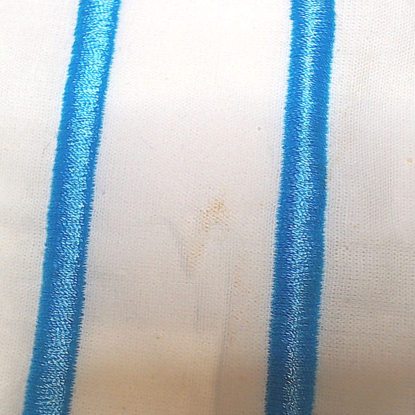 BLOOPER ACCESSORY: Monogrammed Pillow Sham