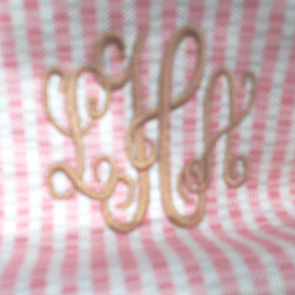 BLOOPER BAG: Monogrammed Makeup Bag
