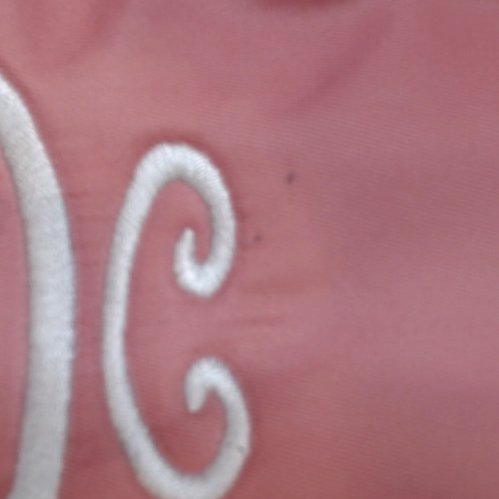 BLOOPER BAG: Monogrammed Classic Cosmetic Case