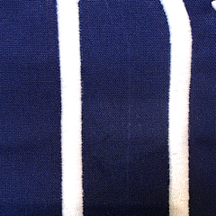 BLOOPER ACCESSORY: Monogrammed Pillow Sham