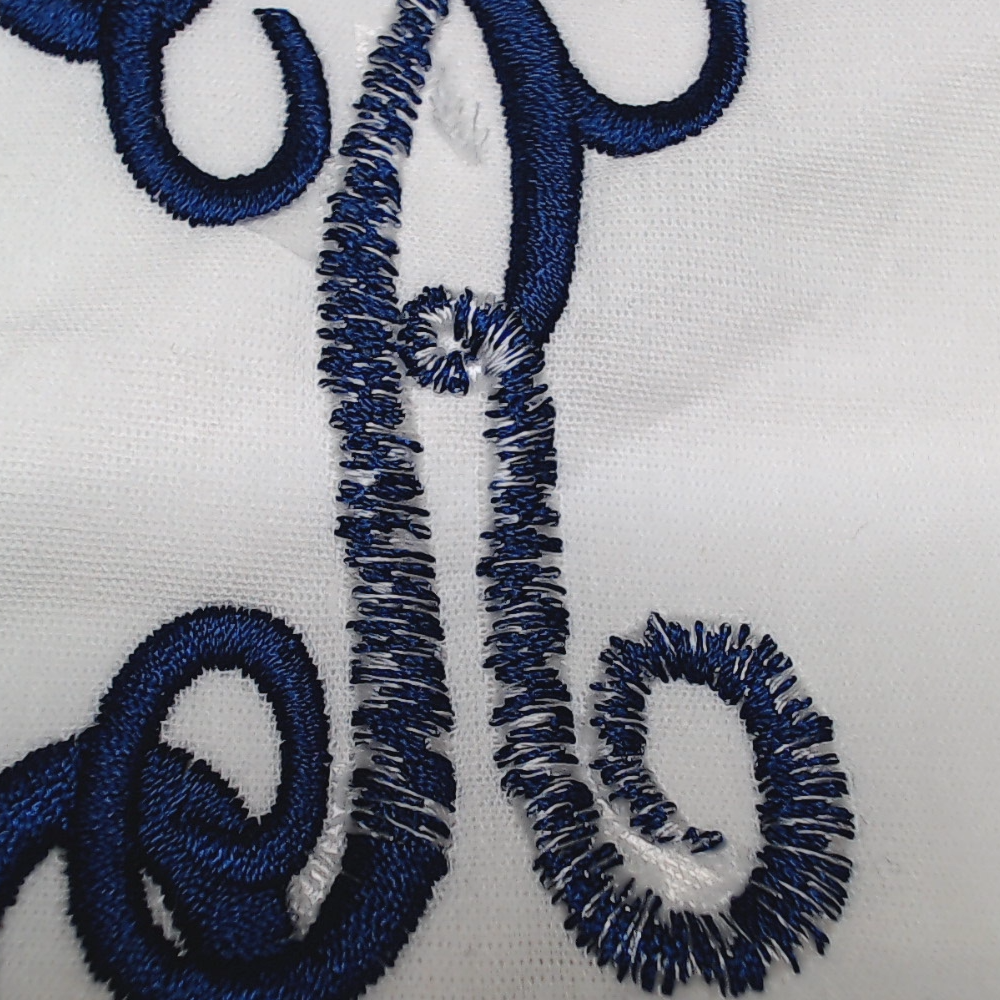 BLOOPER ACCESSORY: Monogrammed Pillow Sham